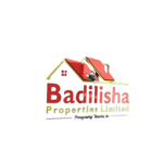 badilisha